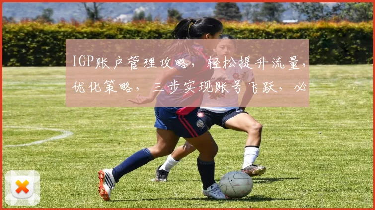 IGP账户管理攻略，轻松提升流量，优化策略，三步实现账号飞跃，必看