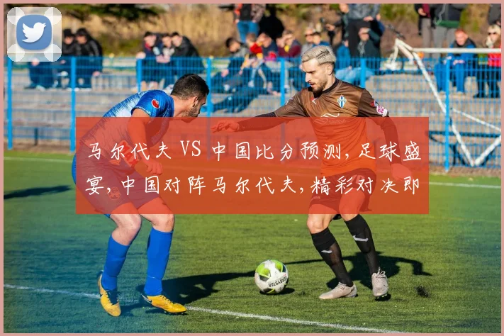 马尔代夫 VS 中国比分预测,足球盛宴,中国对阵马尔代夫,精彩对决即将上演,悬念重重